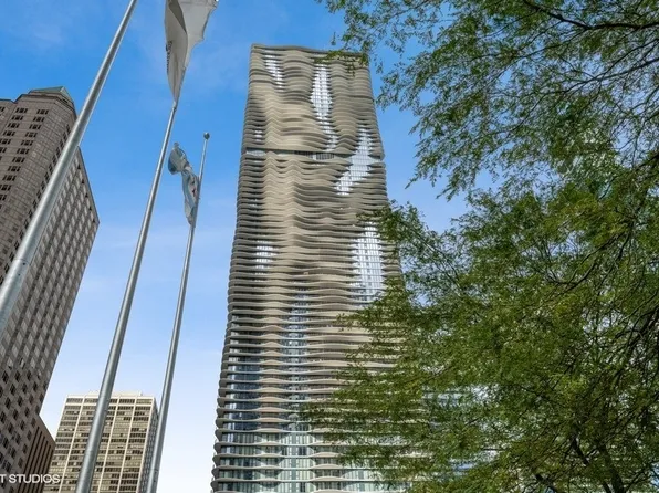 225 N Columbus Dr Unit 5809, Chicago, IL 60601
