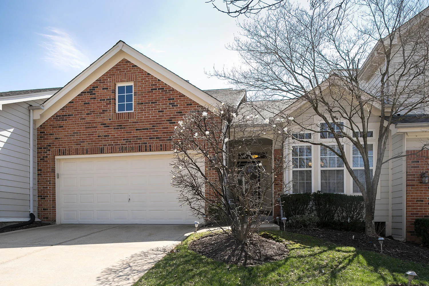 16808 Chesterfield Bluffs Cir photo 1