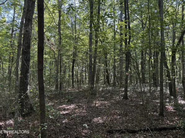 11 Jumpoff Pl Lot 11, Monterey, TN 38574