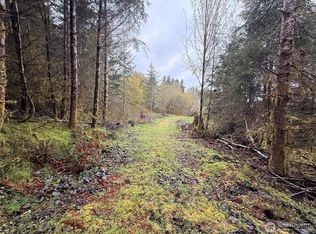 0 Bunker Creek Road, Adna, WA 98522