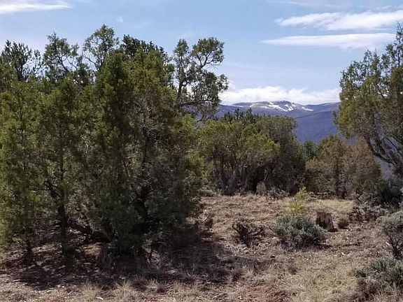 3rd image of 35625 County Road 1