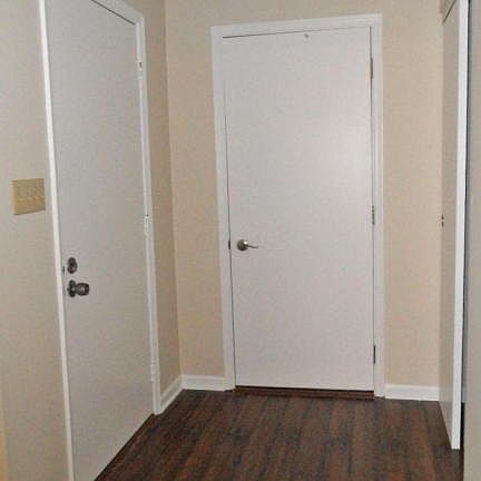 3rd image of 423 Northforty Dr