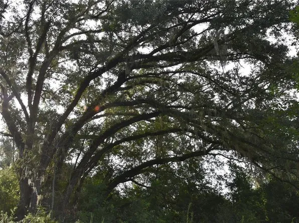 NE 166th Ave, Williston, FL 32696