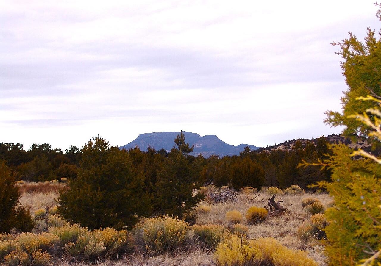 127 Wilderness Ln, Datil, NM 87821 Zillow