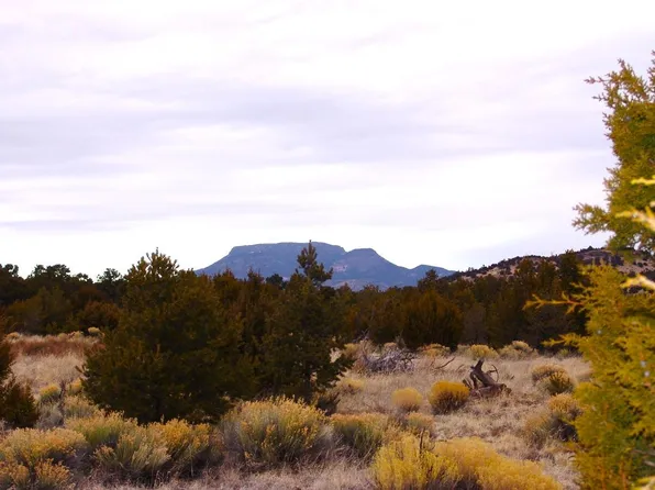 127 Wilderness Ln, Datil, NM 87821