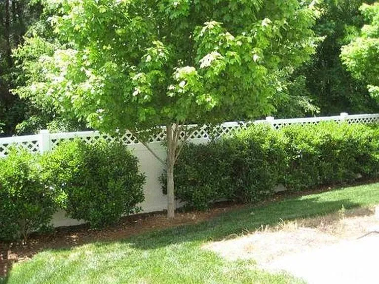 286 Joshua Glen Ln — Photo 6