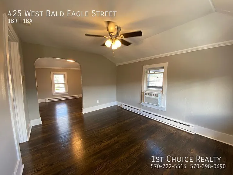 425 W Bald Eagle St — Photo 8