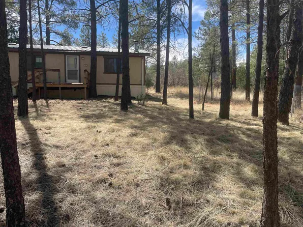 188 Riverside Rd, Timberon, NM 88350