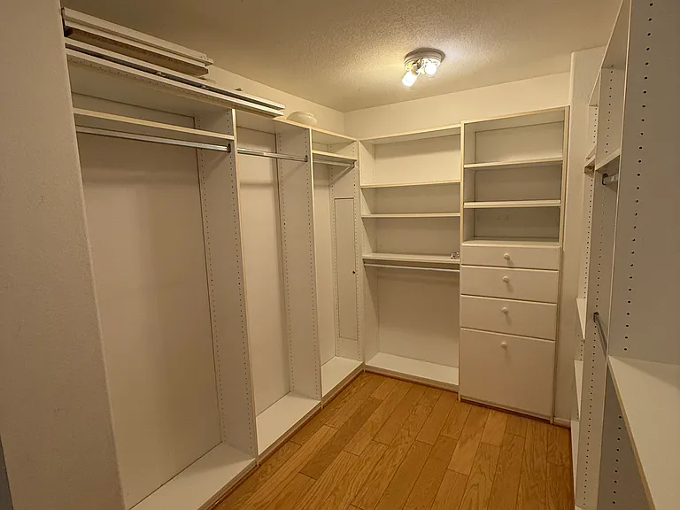 Walk In Closet in Master #1