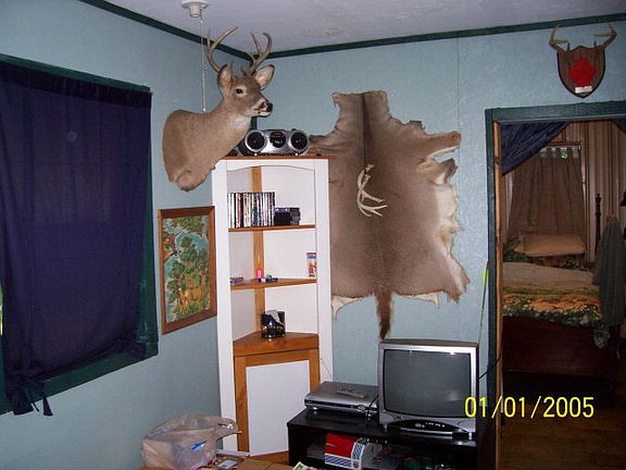 3rd image of 415 Cypress Rd