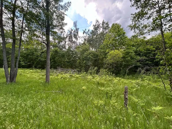 PARCEL 2 Weaver Rd, Comins, MI 48619