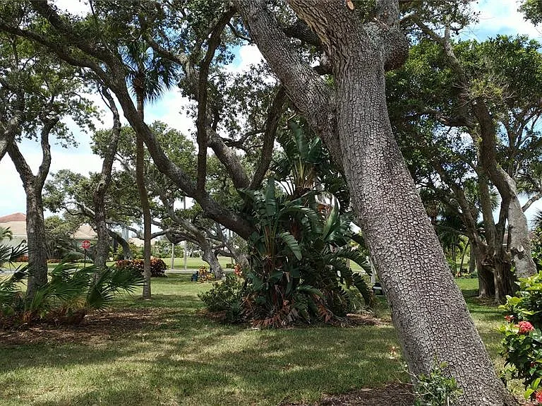 2400 S Ocean Dr #5331 — Photo 47