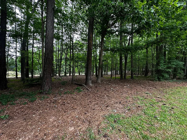 105 Bear Creek Ct — Photo 13