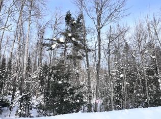 21 Butternut Cir, Eagle River, WI 54521