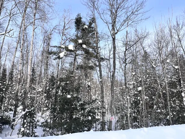 21 Butternut Cir, Eagle River, WI 54521