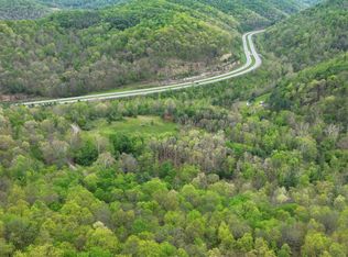 100 Polemic Run Rd, Little Birch, WV 26629