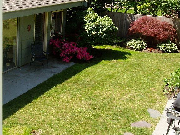 view of cabana and back garden