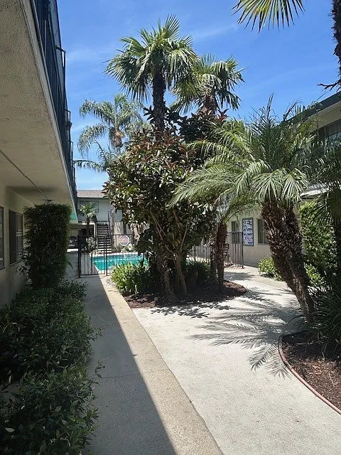 PINE CREST — Photo 4