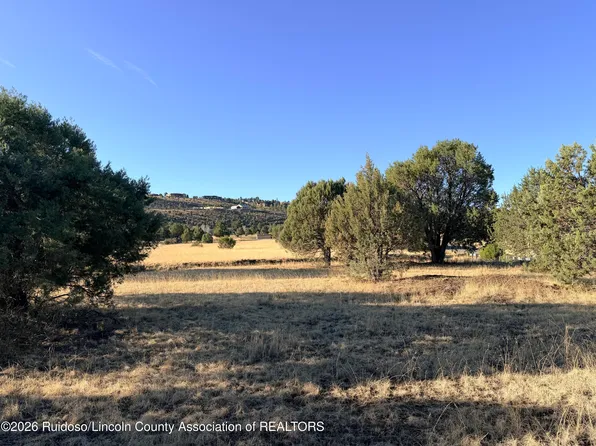 228 Antler Dr, Alto, NM 88312