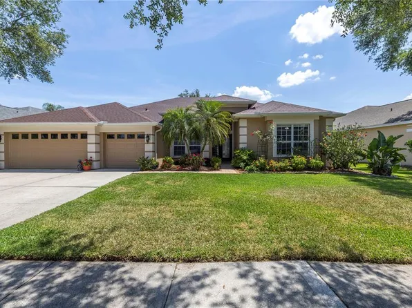 10254 Shadow Branch Dr, Tampa, FL 33647