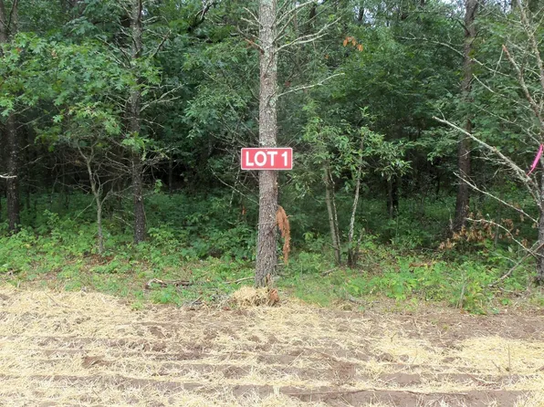 LOT 1 Oak St N, Grantsburg, WI 54840