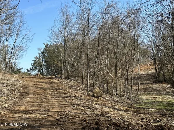 0 Dandelion Dr, Newport, TN 37821