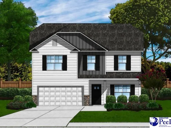 3062 Black Bird #56, Effingham, SC 29541