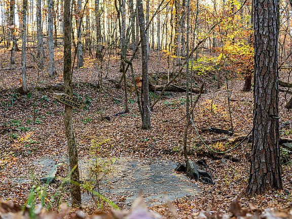 32nd image of this home