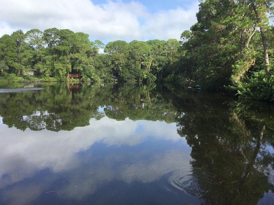 Lakeside view at the bird sanctuary next to the house (lots of birds, turtles and fish and no alligators)