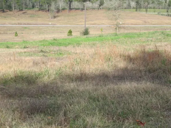 103 Joan Dr, Ellisville, MS 39437