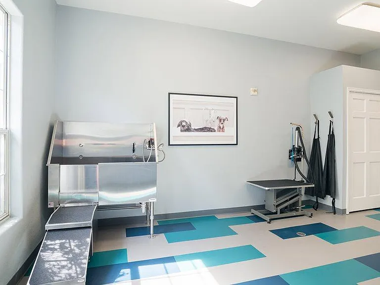 Regatta Apartments — Photo 15