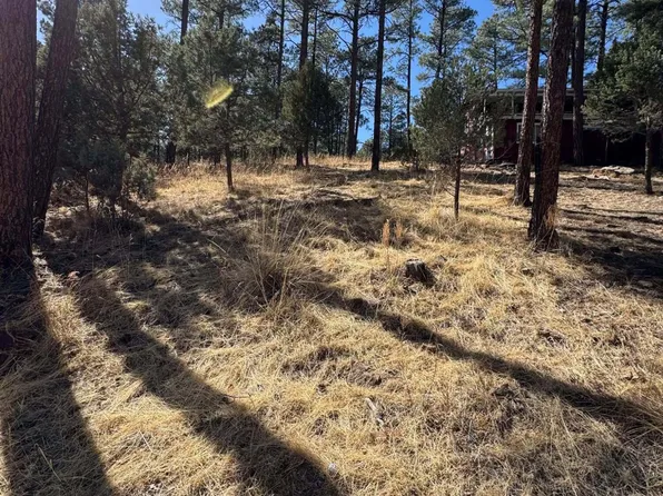 187 Juniper Rd, Ruidoso, NM 88345