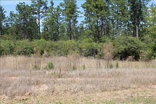 2nd image of 7292 S Airport Rd