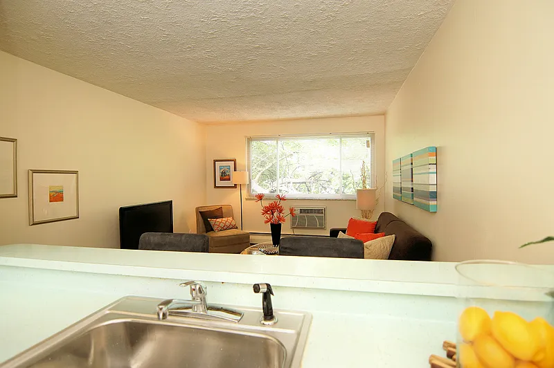 1 bed, 490 sqft, $765 — Photo 4