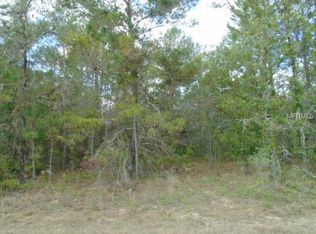 Necklace Warbler Ave, Weeki wachee, FL 34614