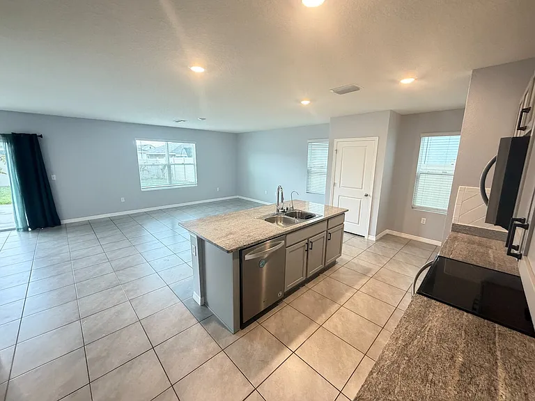 17029 Blister Wing Dr — Photo 15