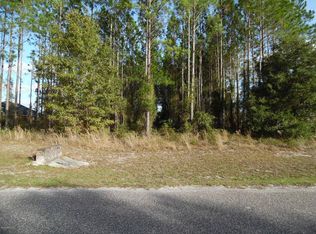 14325 Hunters Rdg W, Glen Saint Mary, FL 32040