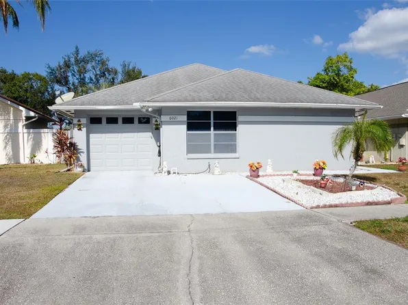 6021 Lemon Tree Ct, Tampa, FL 33625