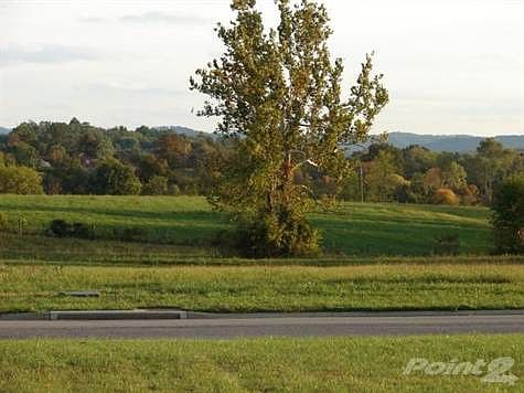 Another view from the house front.
