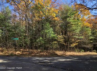 Long Mountain Dr N, Effort, PA 18330