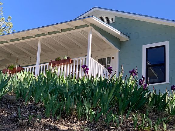 A carpet of wild iris.