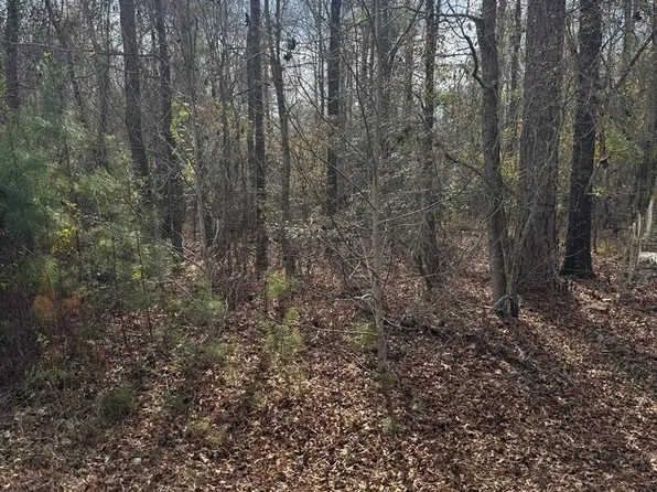 0 Singer Ln, Abbeville, AL 36310