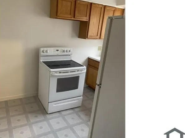 154 N Pine Ave, Chicago, IL