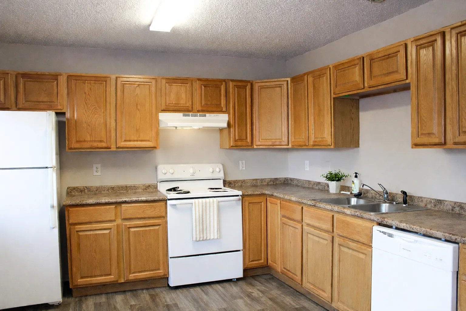 Saraland Portfolio — Photo 3
