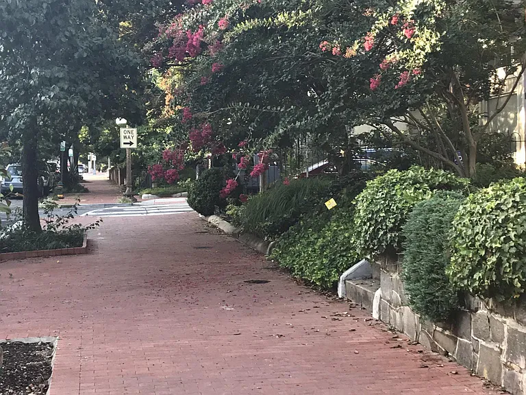 Sidewalk view