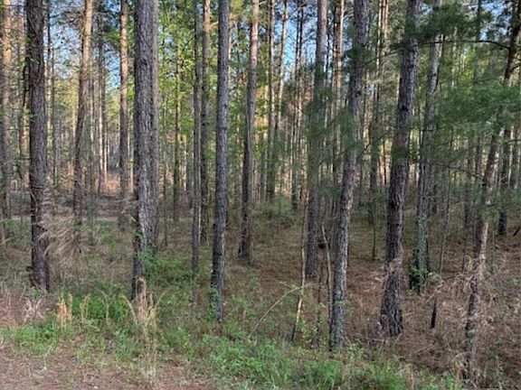 3rd image of 0 Clark Mountain Rd