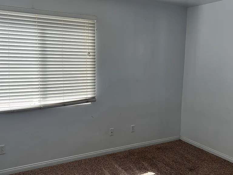12617 Stemple Dr — Photo 13