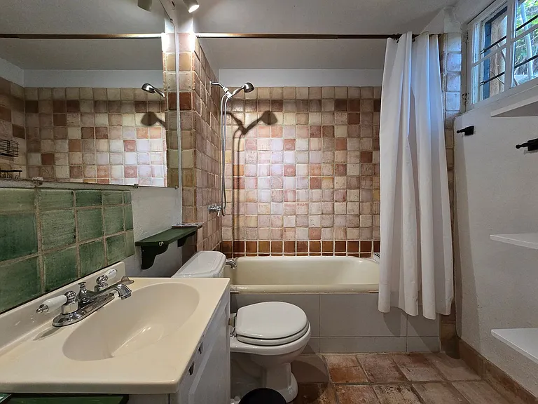 116 1/2 W Buena Vista St — Photo 11