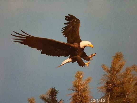 4th image of 13449 Anderson Rd