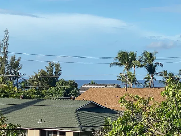 Window View